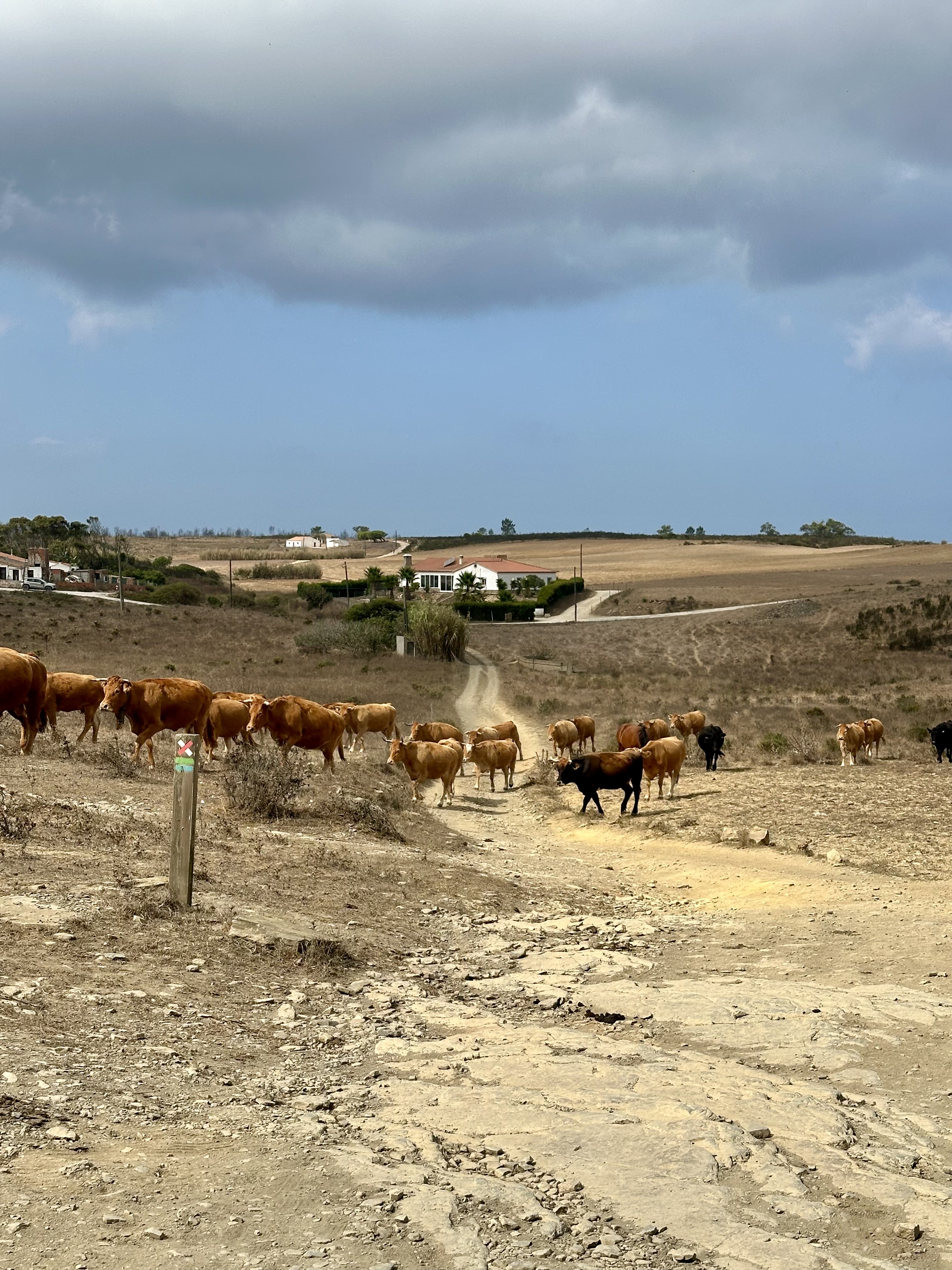 Rota Vicentina - Fishermen's Trail thumbnail 14
