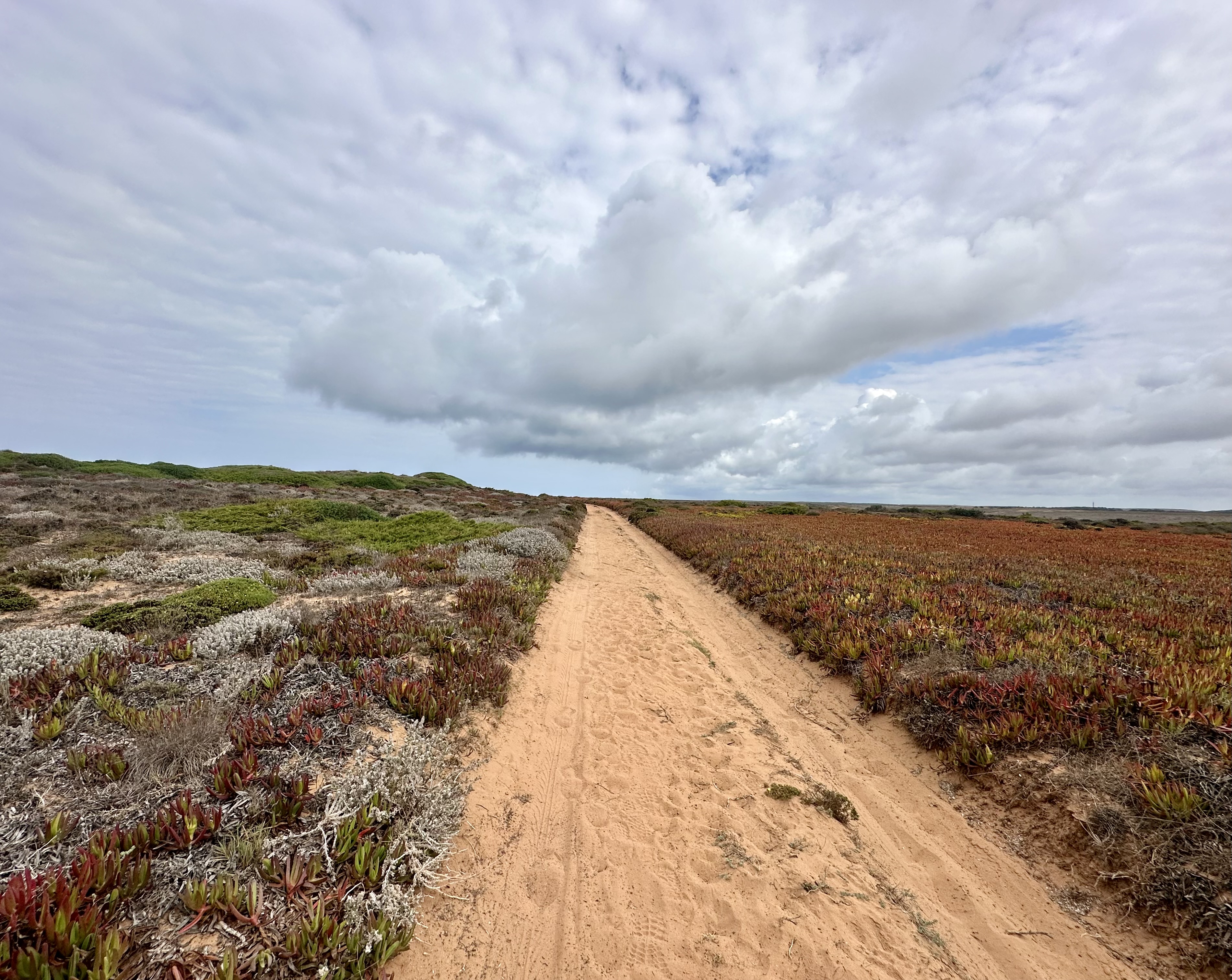 Rota Vicentina - Fishermen's Trail thumbnail 16