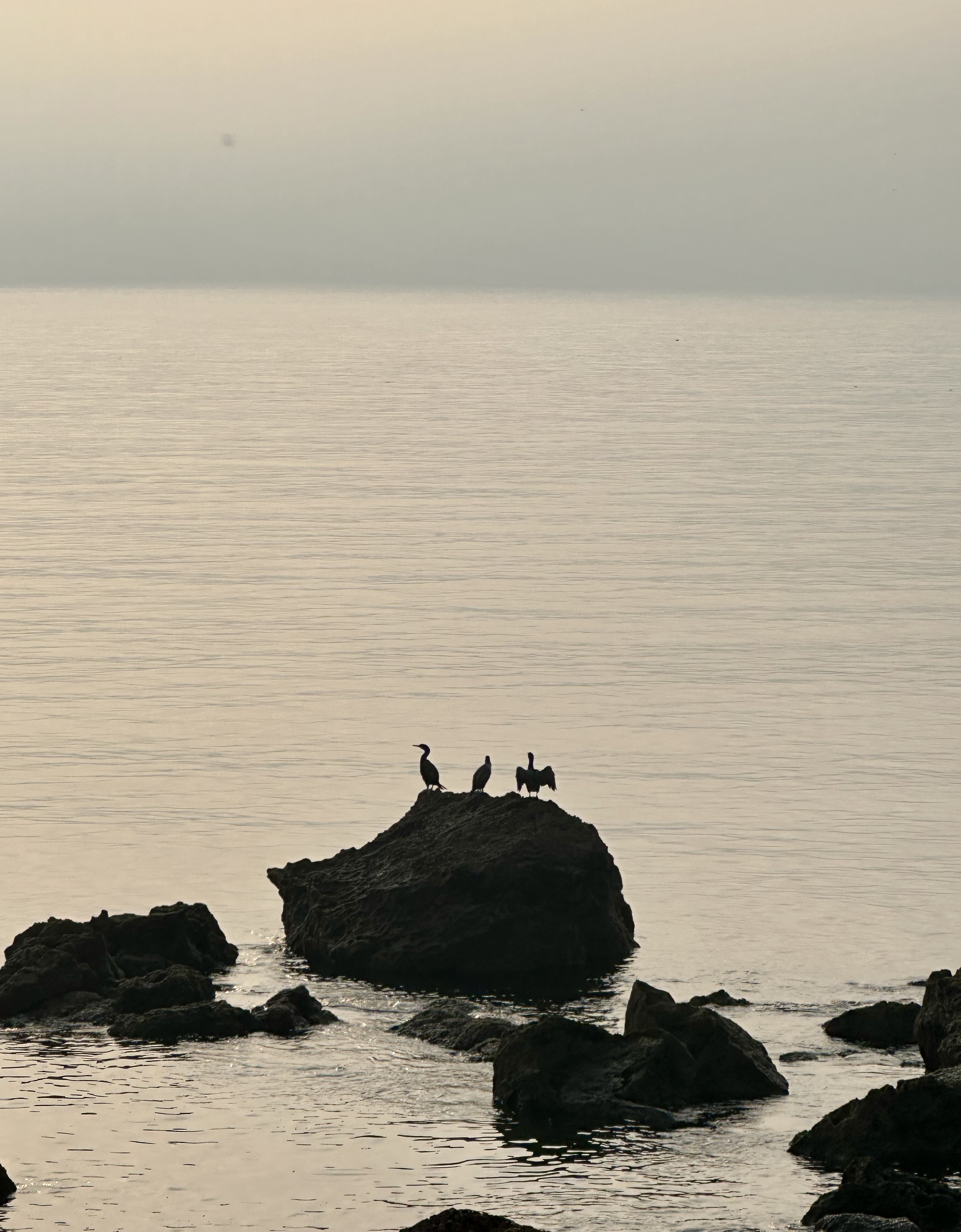 Rota Vicentina - Fishermen's Trail thumbnail 19