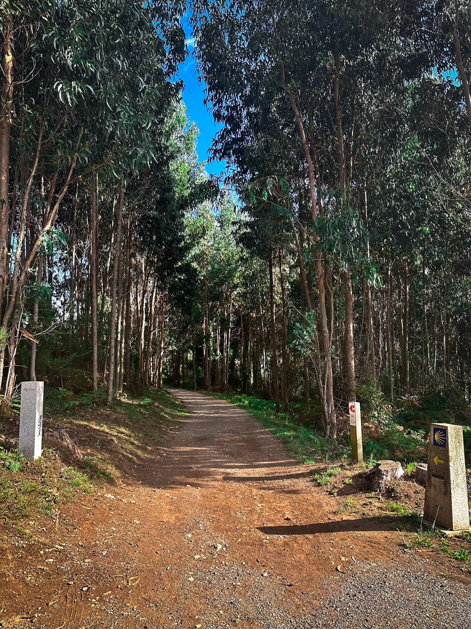 Cammino Inglese e di Finisterre thumbnail 2