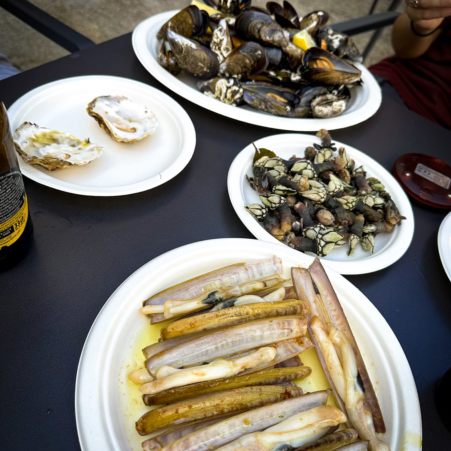 Cammino Inglese e di Finisterre thumbnail 4