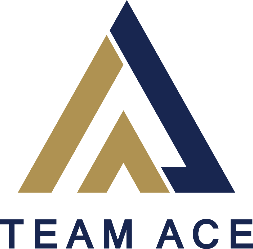 TeamAce logo