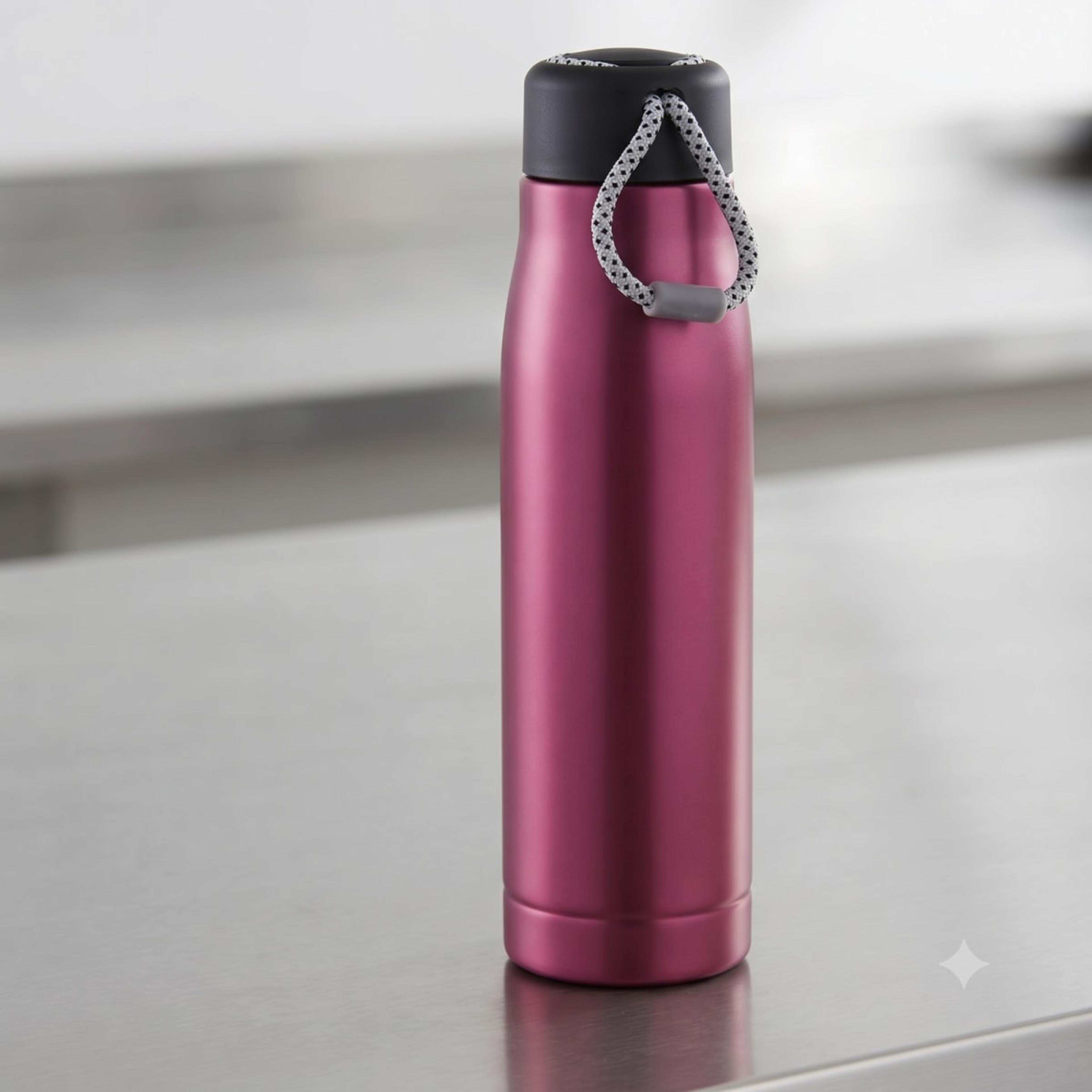 Water Bottle Dory 500Ml