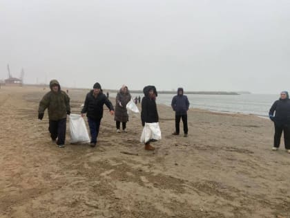 Накануне активисты общественных организаций «ГородНаш» и «Феникс» провели субботник на территории пляжа «Берёзка»