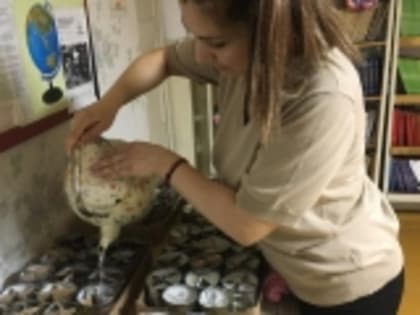 В Новолакском районе матери и жены участников СВО присоединились к акции «Помогаем СВОим»