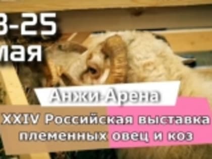 XXIV Российская выставка племенных овец и коз пройдет в Каспийске с 23 по 25 мая