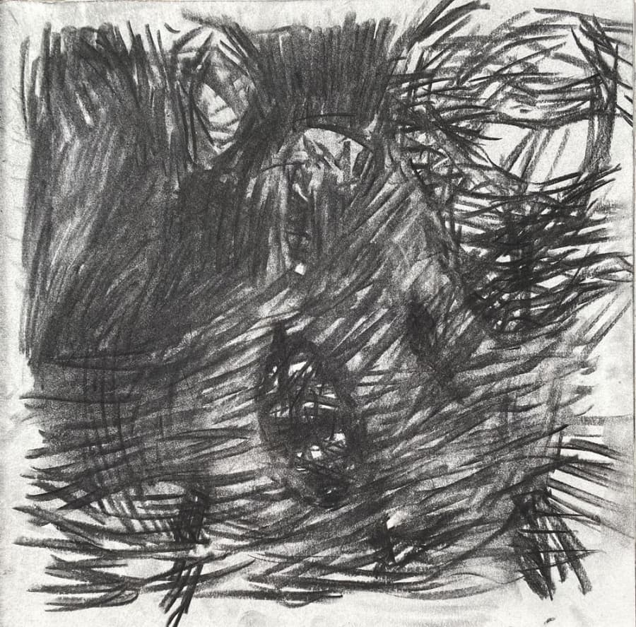 Staccato Landscape Kohle -3