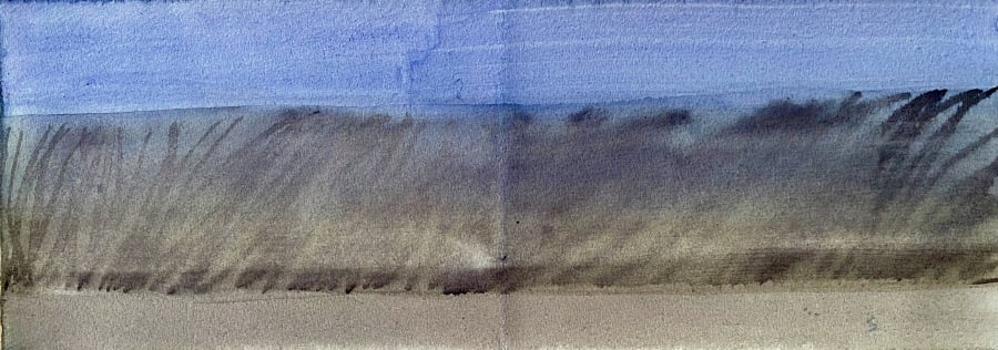 Spaziergänge Schilf bl-br