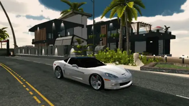 VIP AUTODAN CORVETTE