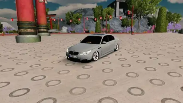 ASLAN MOTORS TAN M5 E60