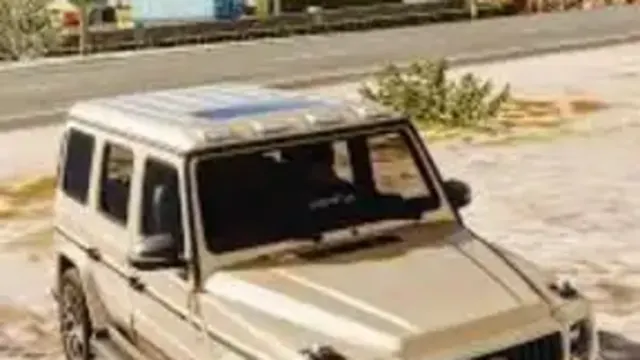 RENÇ İSTEYEN 