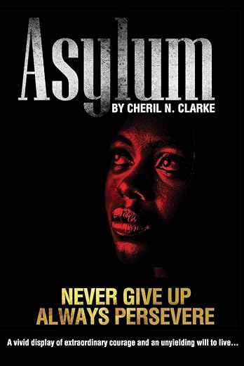 Asylum poster