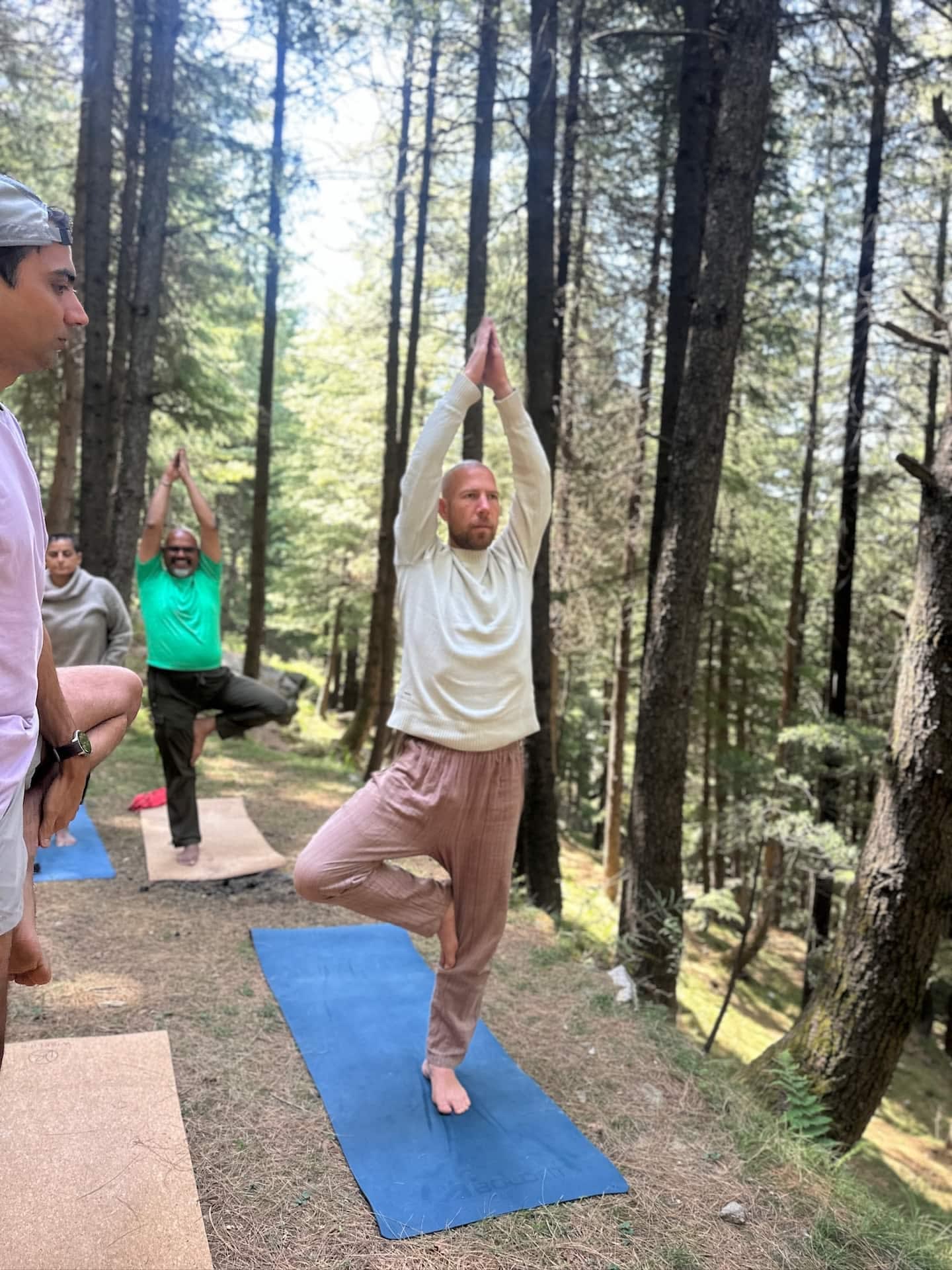 Guests doing a standing yoga pose on mats in the pine forest