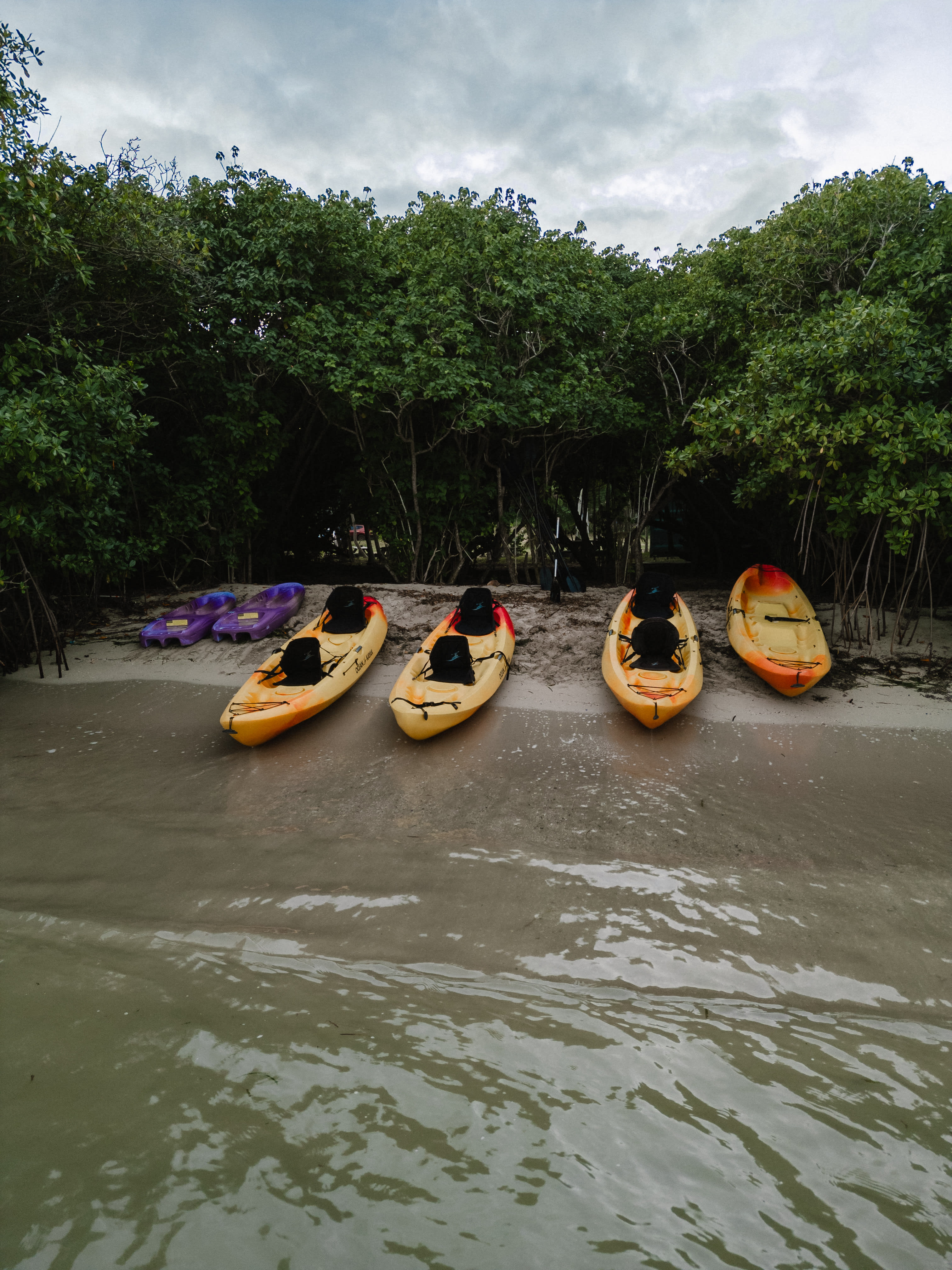 Moonlight Night Kayaking guided tour in St. Croix, USVI with BushTribe Eco Adventures