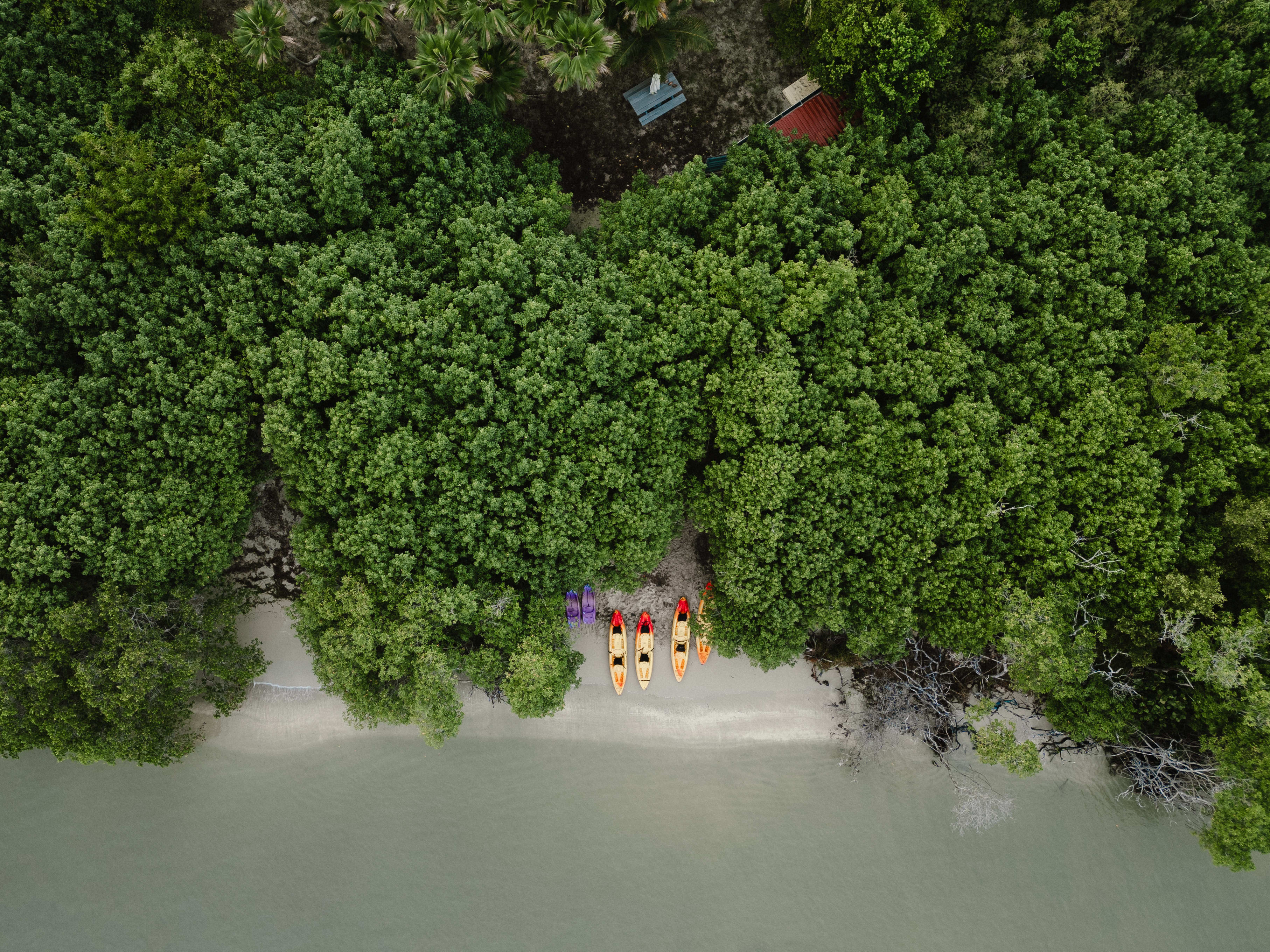 Morning Salt River Kayak in St. Croix, USVI