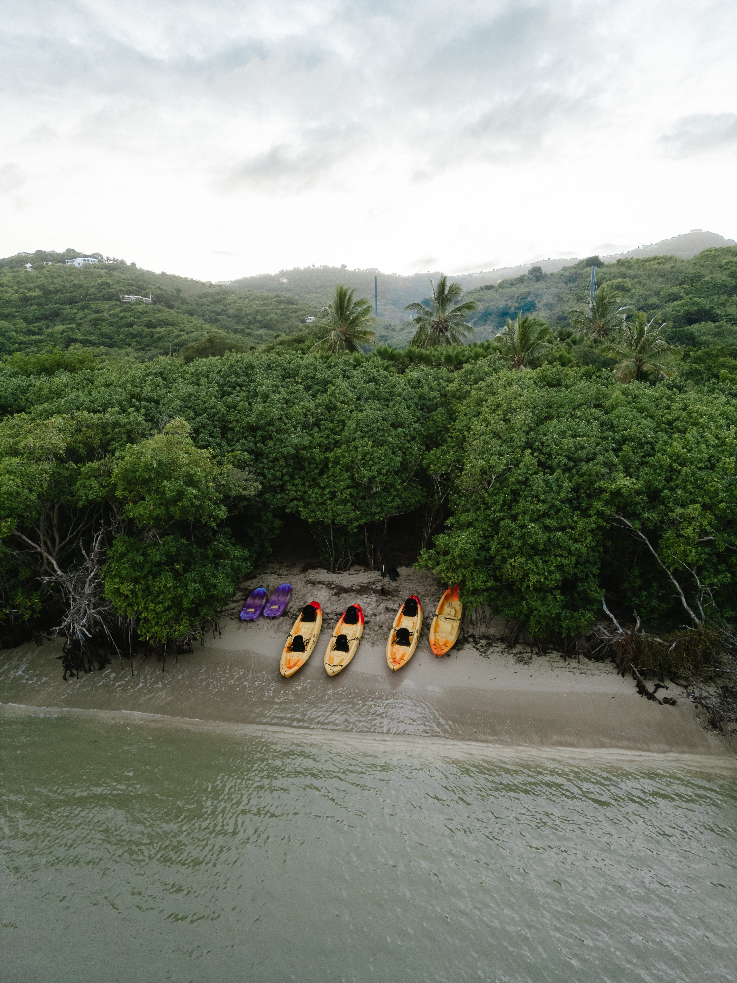 Coral Reef Week Kayaking guided tour in St. Croix, USVI with BushTribe Eco Adventures