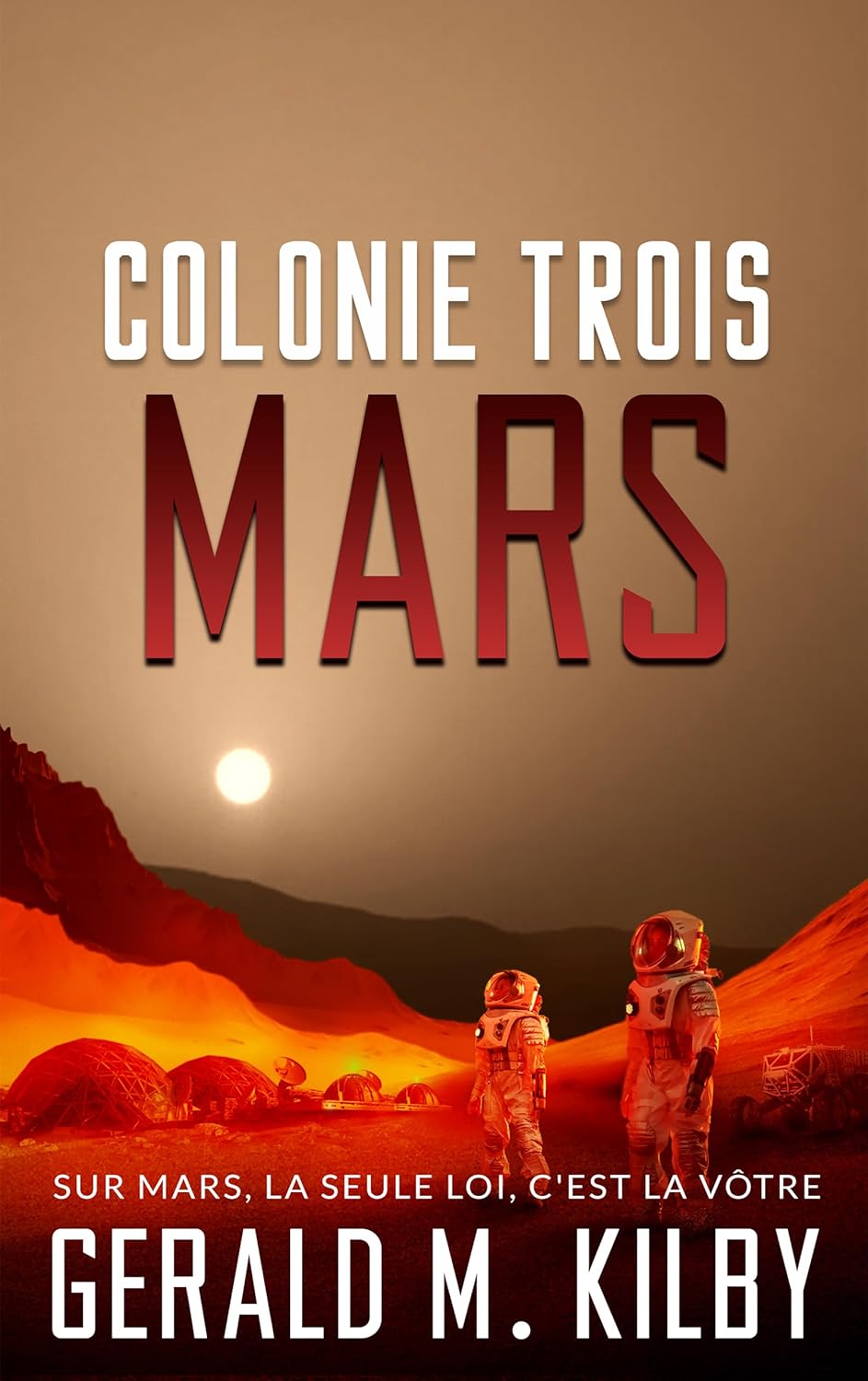 Vue 3 de Glaces Vegan