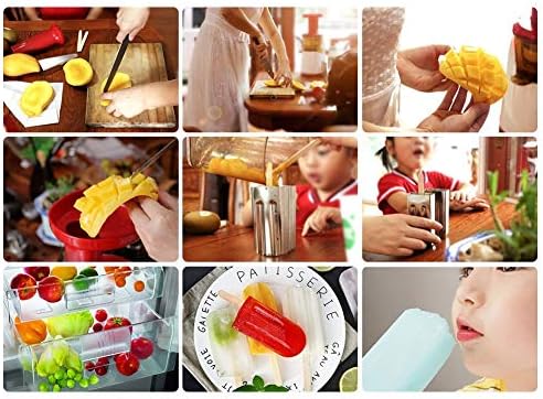 Vue 5 de Nikou Moule Glace