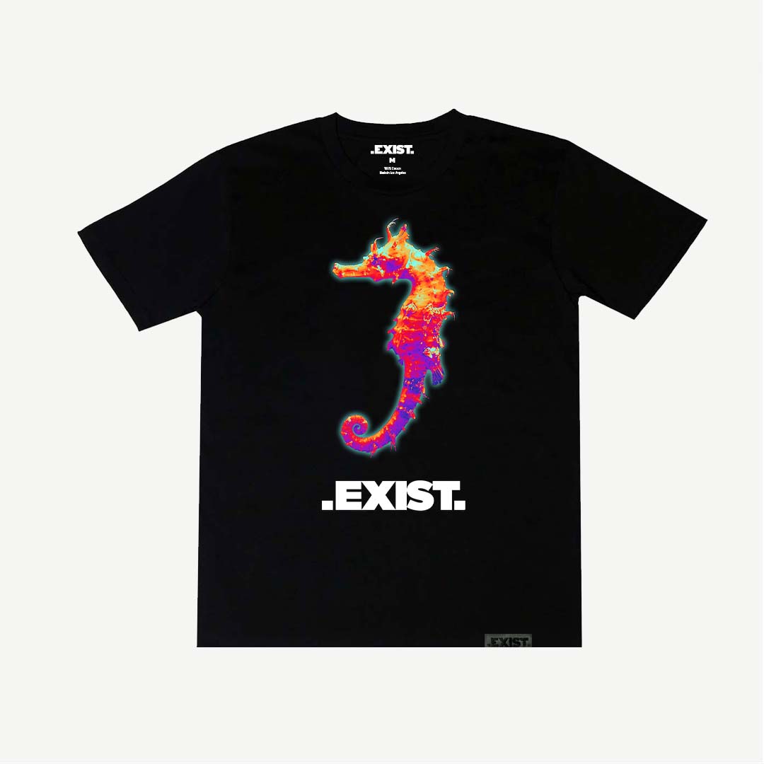 EXIST COLLECTION: SEAHORSE