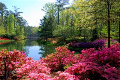 Top 5 Reasons to Fall in Love with Flowery Branch, GA | Discover Lakefront Living & More