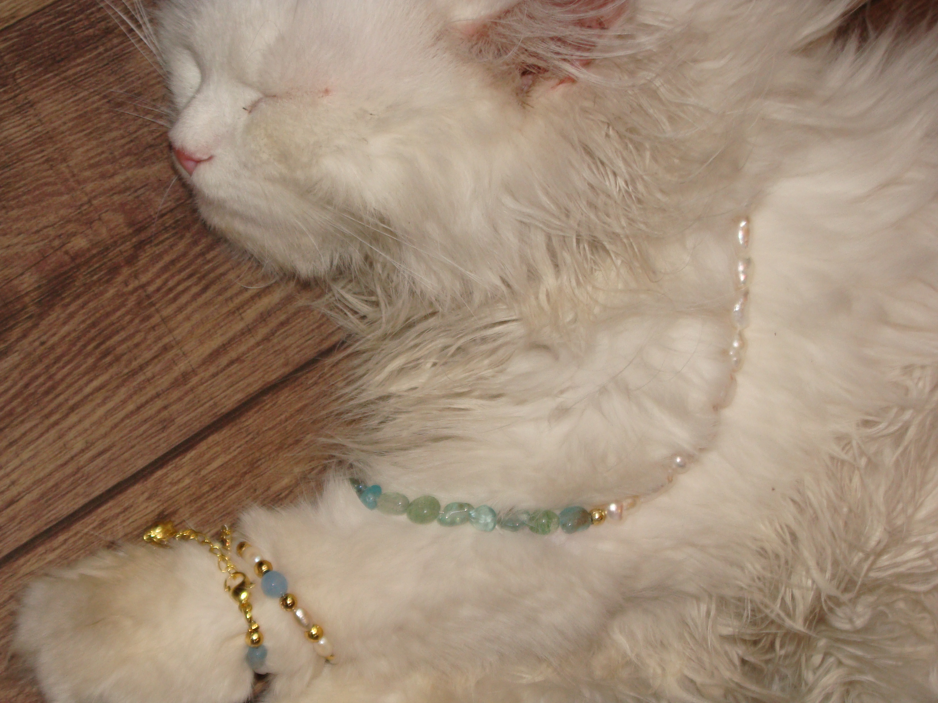 Curated editorial still three