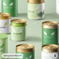 Assorted green and white pet food cans with gold lids on a pale green background.