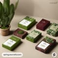 Green rectangular boxes with leaf patterns.