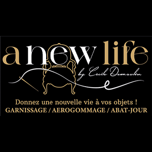 a New Life
