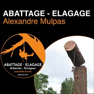 Alexandre Mulpas