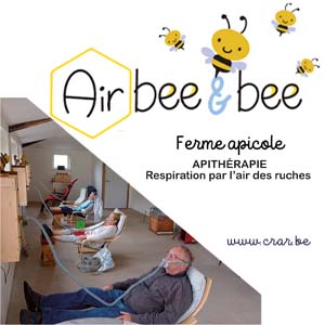 Air bee & bee
