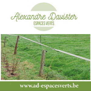 Alexandre Davister