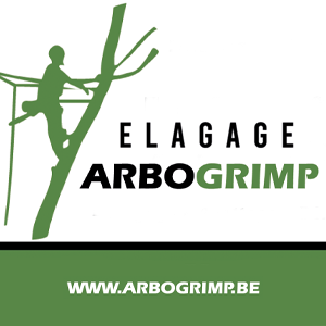 Arbogrimp