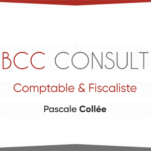 BCC Consult