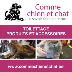 Comme Chien et Chat