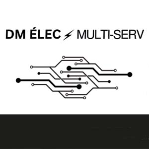 DM Elec Multi Serv