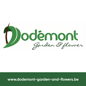 Dodémont