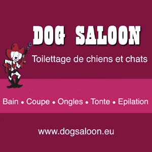 Dog Saloon