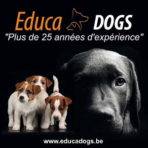 Educa Dogs