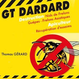 GT Dardard