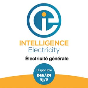 Intelligence Electricity