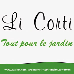 Li Corti