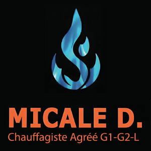 Micale D