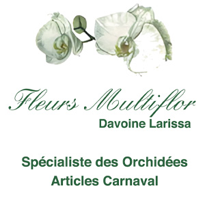 Fleurs Multiflor