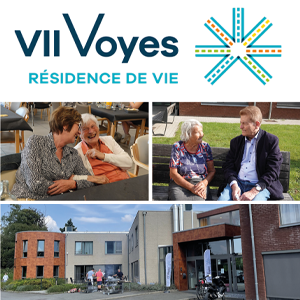 Vii Voyes