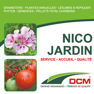 Nico Jardin