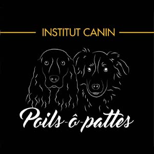 Poils ô pattes
