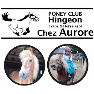 Poney Club Hingeon chez Aurore