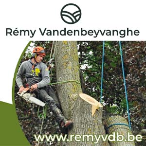 Rémy Vandenbeyvanghe