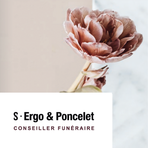 S. Ergo & Poncelet