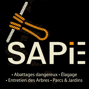 SAPIE
